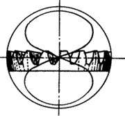 �X݆�����g(sh��)�Z�F�X݆����(zh��n)�p�����X݆�����X݆��