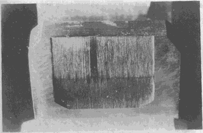 �X��ēp���E��