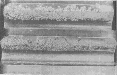 �X��ēp���E��